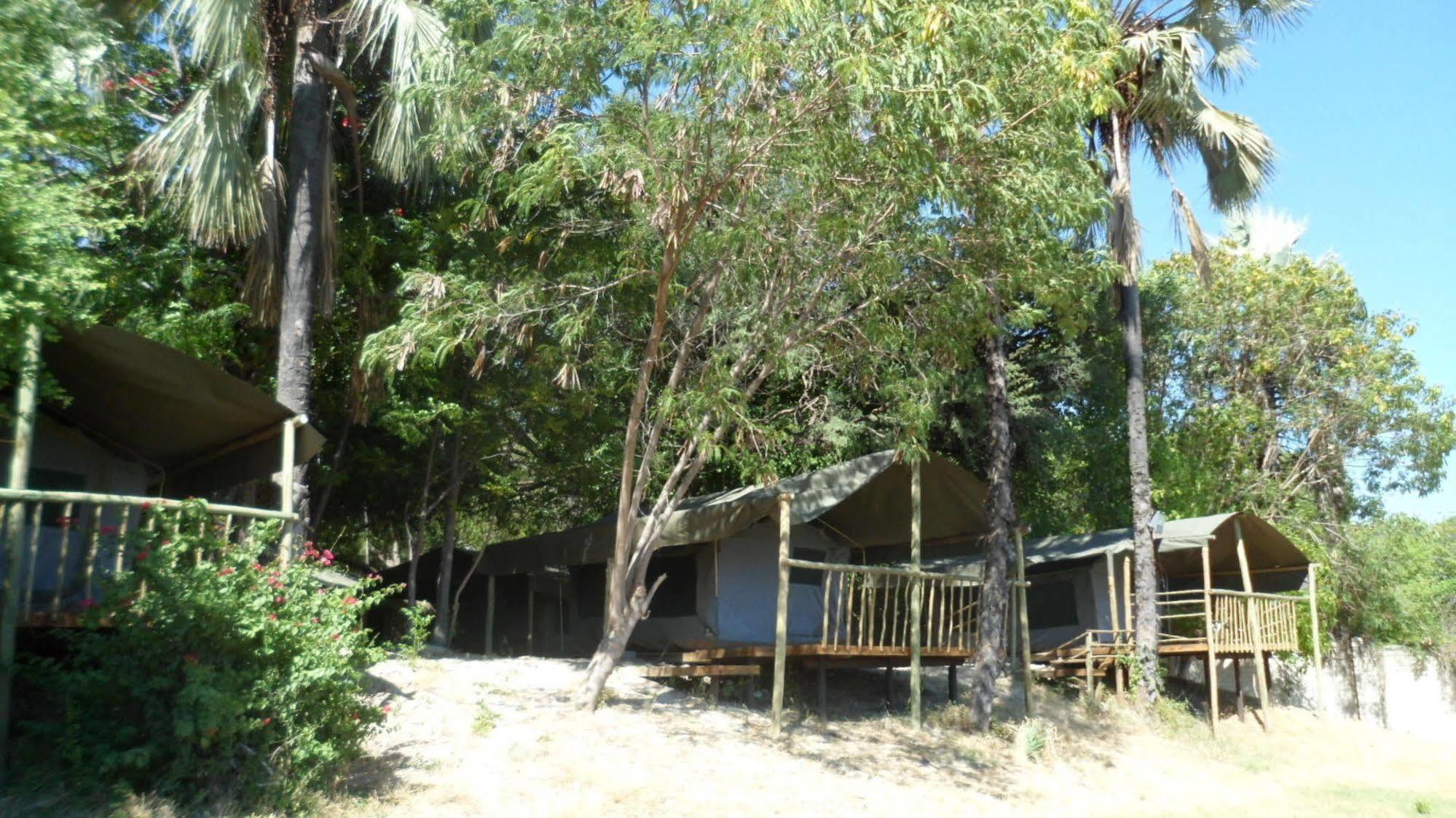 Okavango River Lodge Maun Kültér fotó